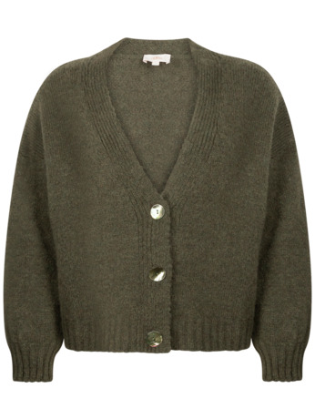 Aaiko Dames wol viscose acryl vest winter moss cardigan