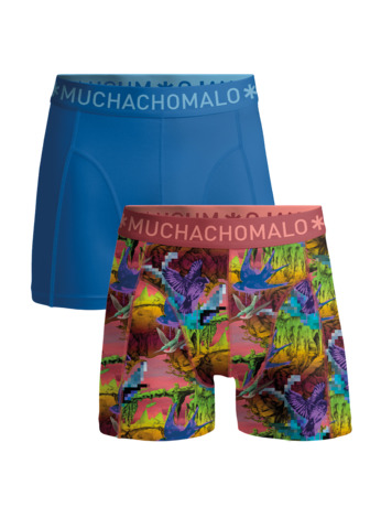 Jongens 2-Pack Boxershorts Print/Effen Print/Blue