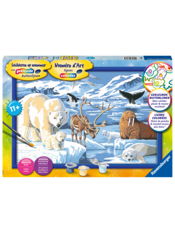Ravensburger Schilderen op nummer Lama - Hobbypakket
