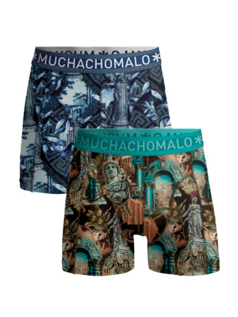 Heren 2-Pack Boxershorts Athene Print/Print