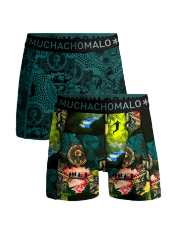 Jongens 2-Pack Boxershorts Indiana Print/Print