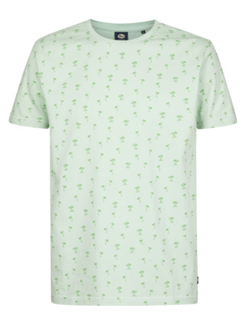 Men T-Shirt SS AOP