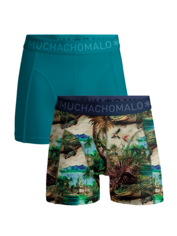 Heren 2-Pack Boxershort Print/Effen Print/Green