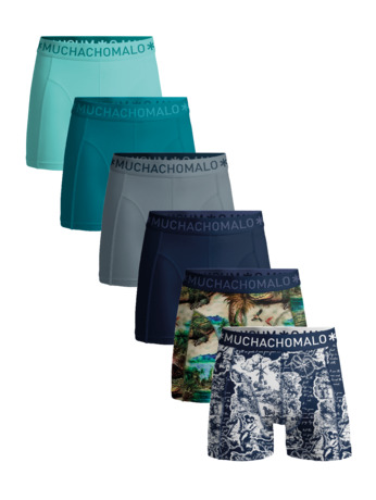 Heren 6-Pack Boxershort Print/Effen Print/Blue