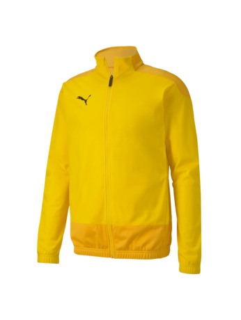 teamGOAL 23 Training Jacket  Cyber Yello