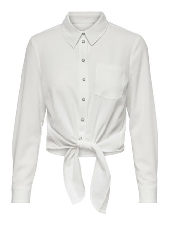 Regular Fit Shirt Collar Long Sleeves (L/S)