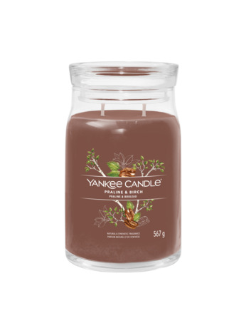 Yankee Candle Praline & Birch Signature grote pot