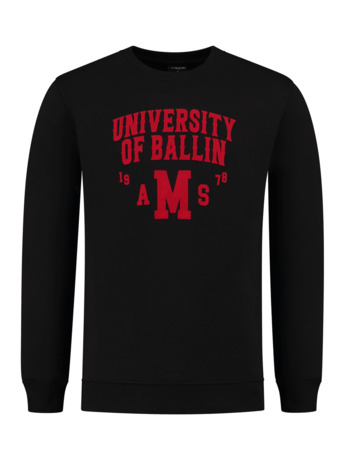 University Print Sweater