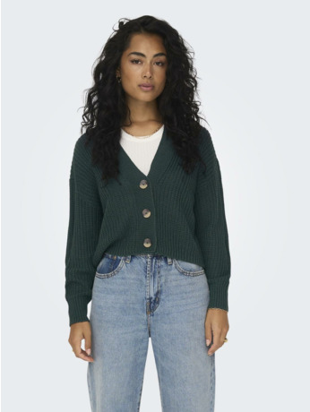 Regular Fit V-Neck Long Sleeves (L/S) Geribbeld vest