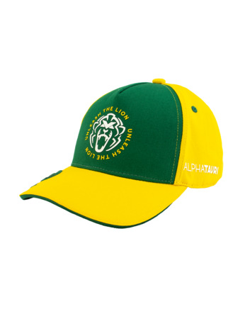 Brazil Cap 2025 - Max Verstappen