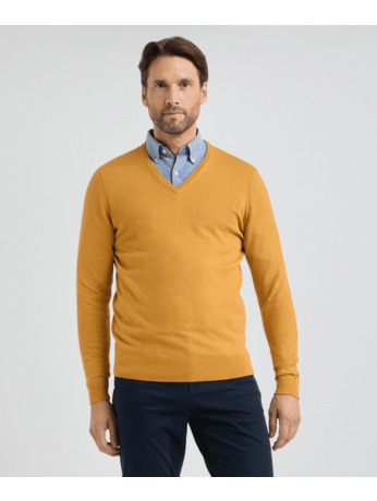 V-Neck Sweater Heren