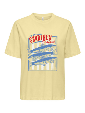 ONLTRUDY S/S BOXY TEE CS JRS