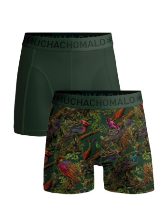 Mannen 2-Pack korte print/effen Print/Green