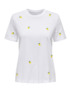 Couleur-0e4701eb-6432-4db3-b006-b3a77a73f40f