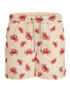 Couleur-174debb2-2989-44e4-aed8-7bee23934dbe