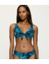 Couleur-3679db62-fb43-4667-93c0-5514f05eb4cb