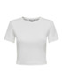 Couleur-0e4701eb-6432-4db3-b006-b3a77a73f40f