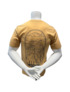 Couleur-48a29ecf-1240-493b-bd8a-e68c55c01331