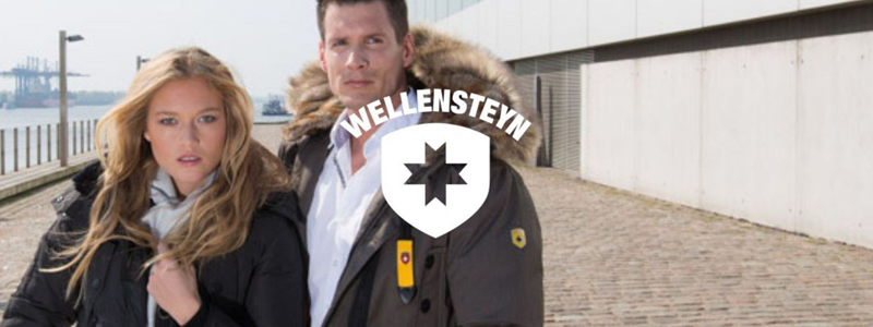 Wellensteyn seasonal image