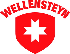 Wellensteyn logo