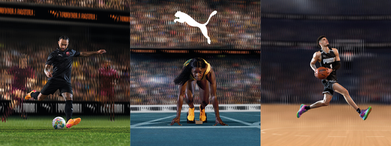 Puma seasonal image